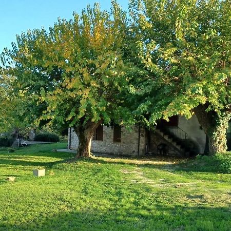 Agriturismo Canonici อเมเลีย ภายนอก รูปภาพ