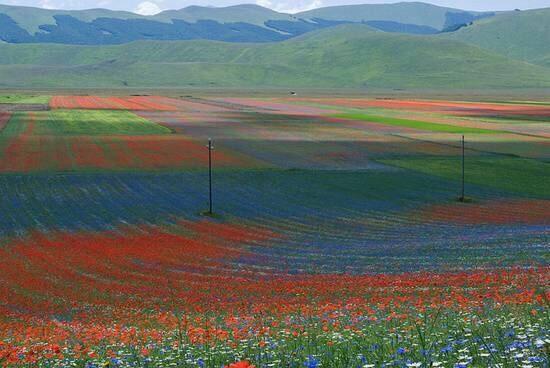 Agriturismo Canonici อเมเลีย ภายนอก รูปภาพ